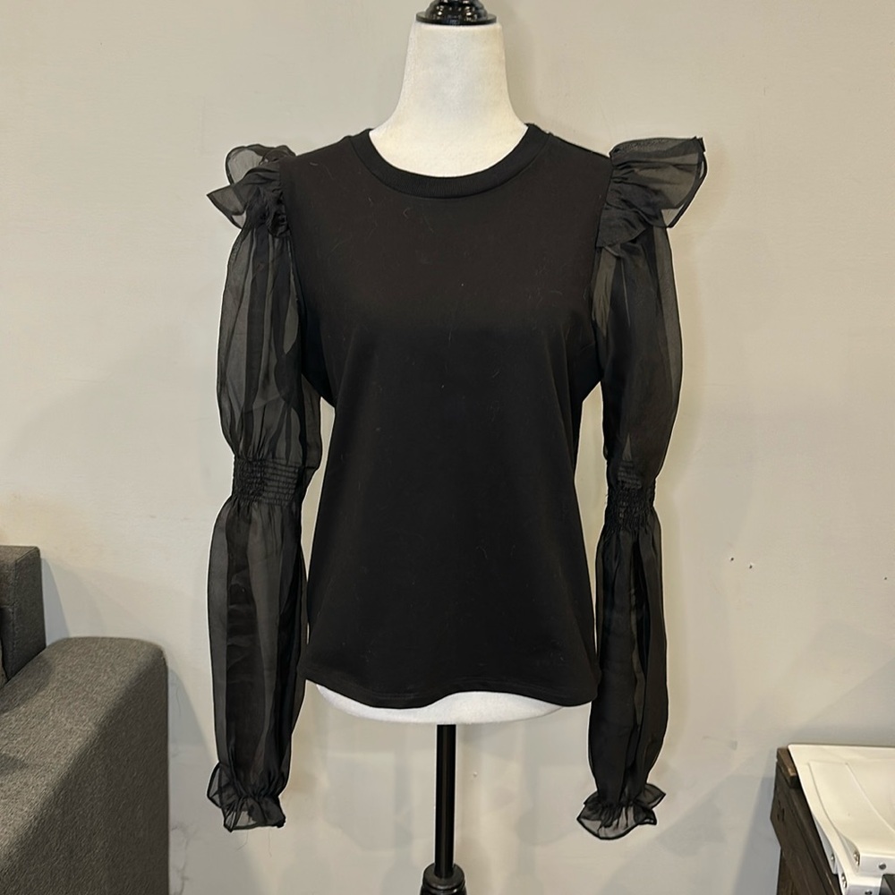 Anthropologie Long Sleeve Ruffle Puff Mesh Top
